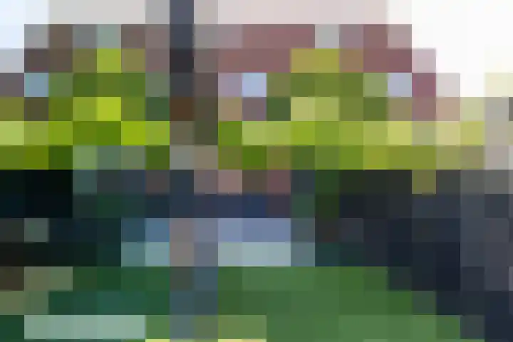 Overtoom 18 Zuidermeer thumbnail 52