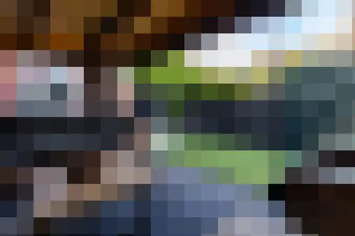 Overtoom 18 Zuidermeer thumbnail 55