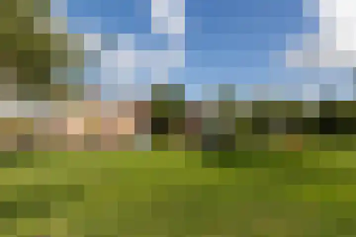 Overtoom 18 Zuidermeer thumbnail 57
