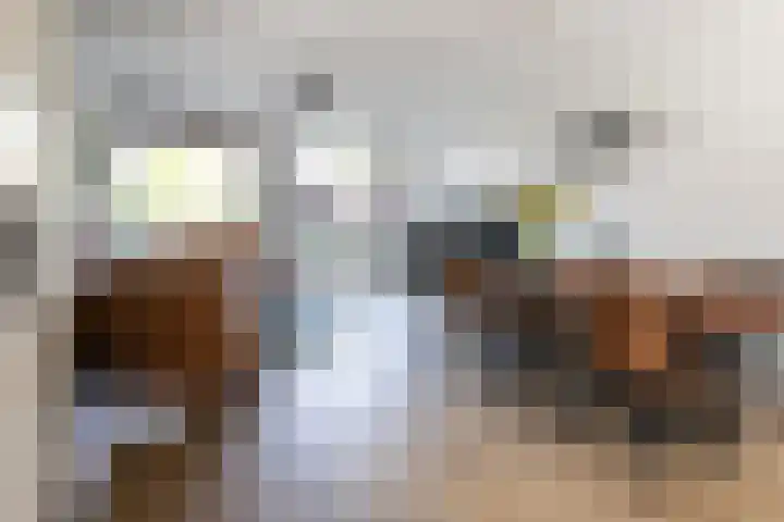 Overtoom 18 Zuidermeer thumbnail 8
