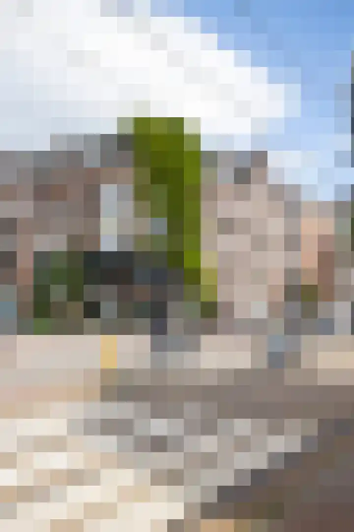 Overtoom 188 3 Amsterdam thumbnail 25