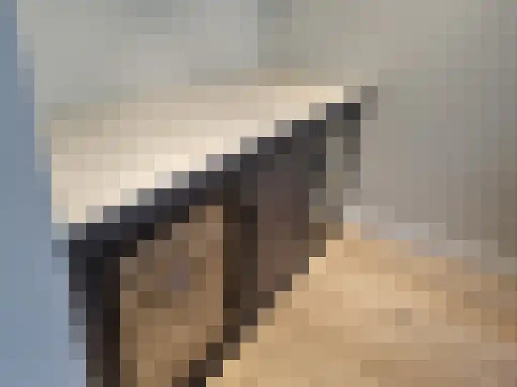 Overtoom 208 Amsterdam thumbnail 6