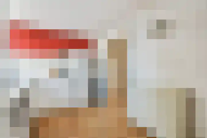 Overtoom 209 C Amsterdam thumbnail 17