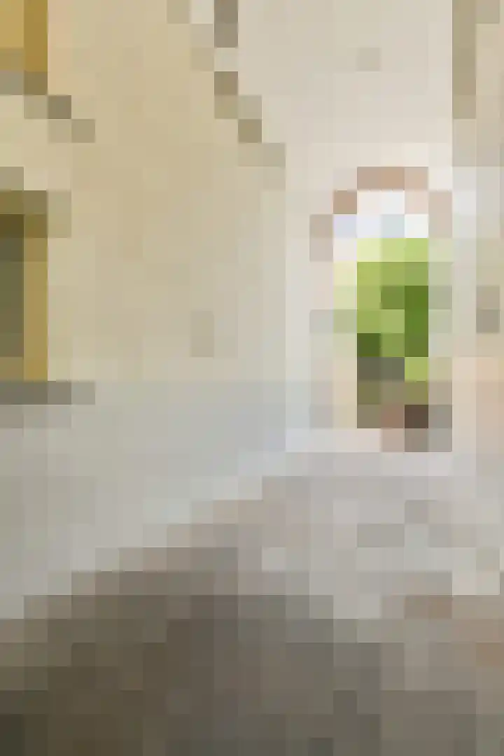 Overtoom 209 C Amsterdam thumbnail 27
