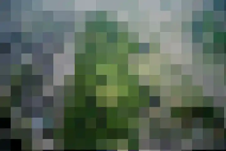 Overtoom 209 C Amsterdam thumbnail 30