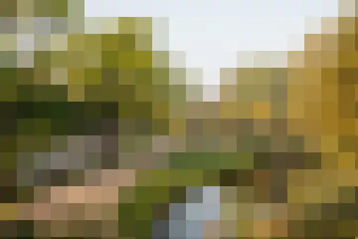 Overtoom 209 C Amsterdam thumbnail 32