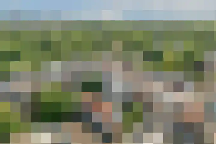 Overtoom 209 C Amsterdam thumbnail 42