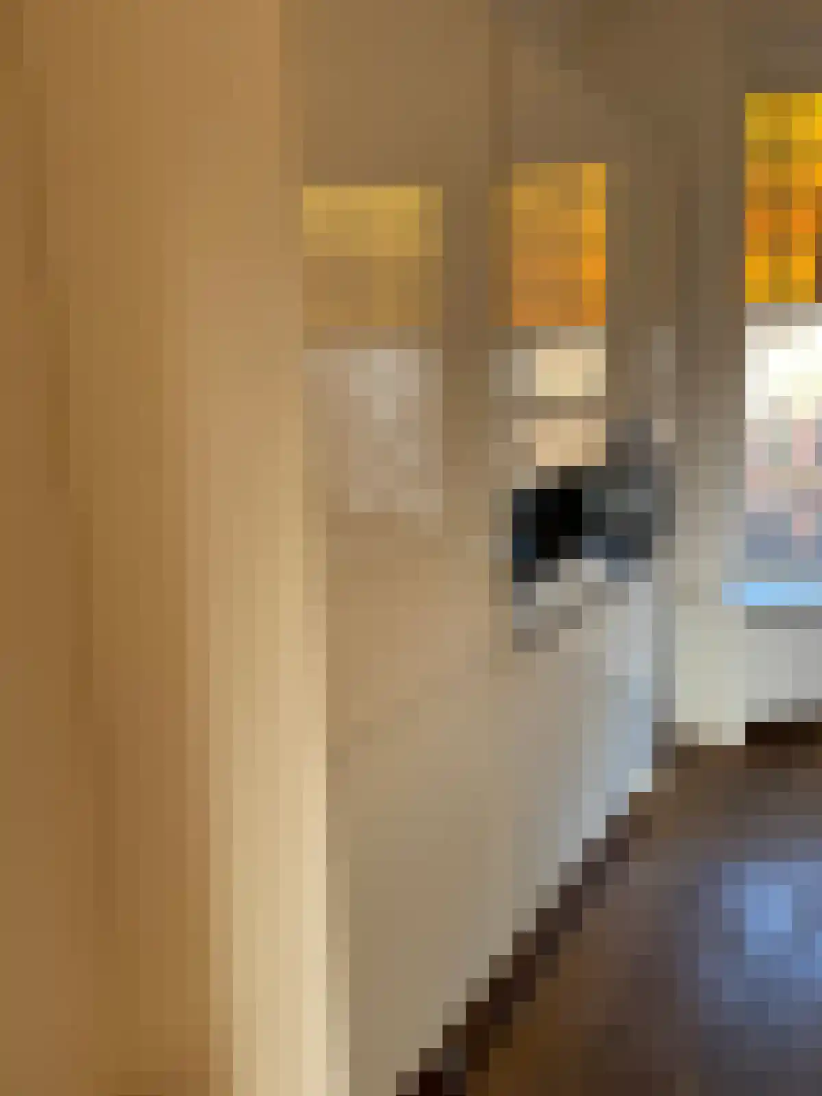 Overtoom 21 Amsterdam thumbnail 5