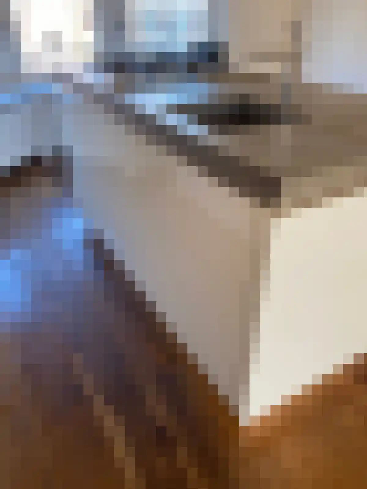 Overtoom 21 Amsterdam thumbnail 6