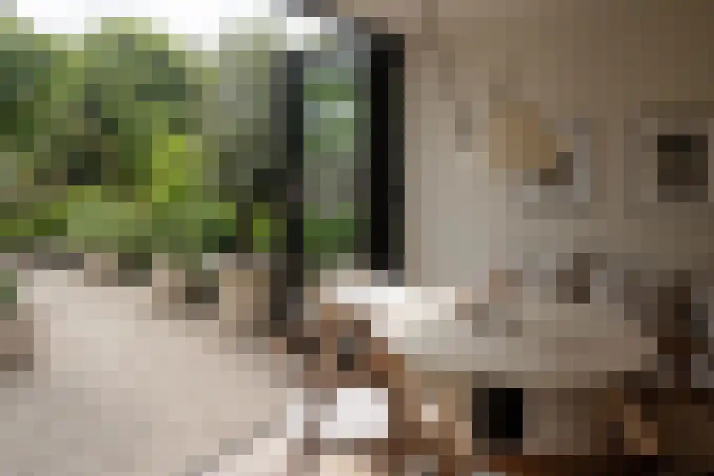 Overtoom 227 Amsterdam thumbnail 10