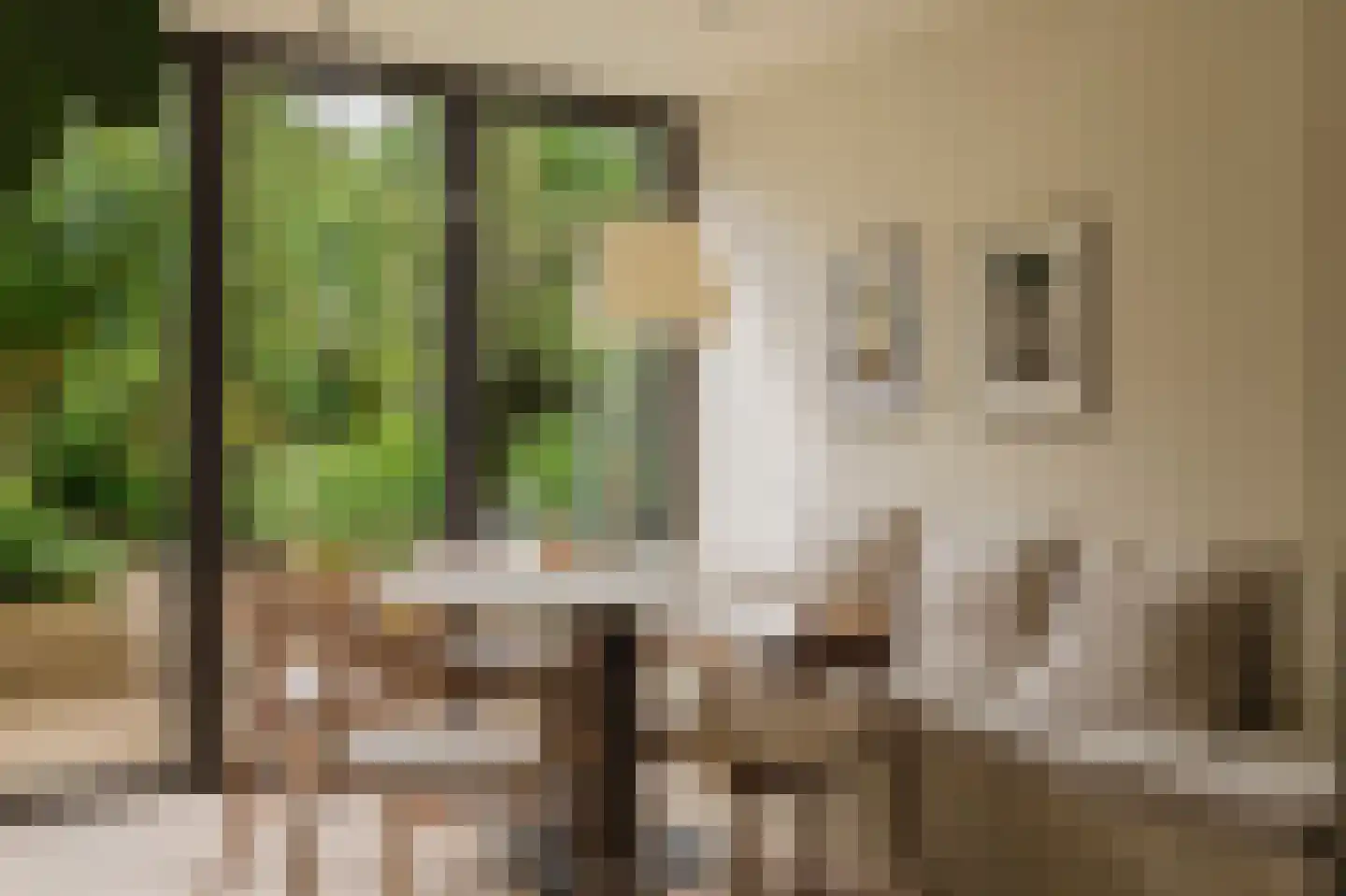 Overtoom 227 Amsterdam thumbnail 10