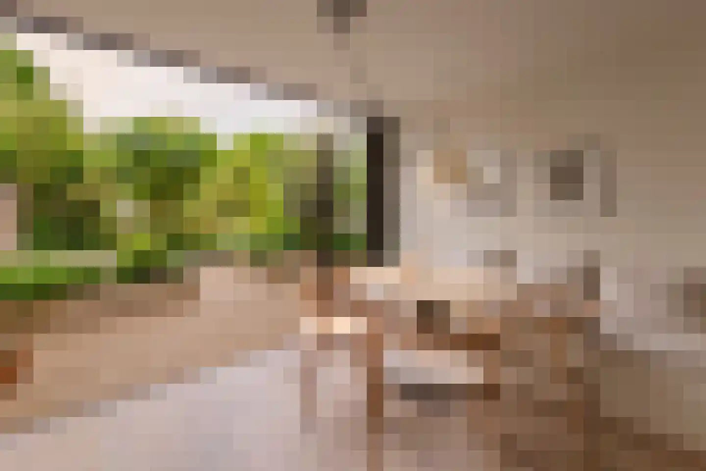 Overtoom 227 Amsterdam thumbnail 11