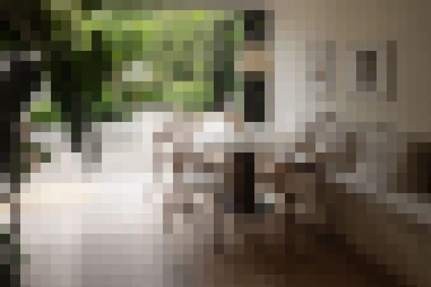 Overtoom 227 Amsterdam thumbnail 11