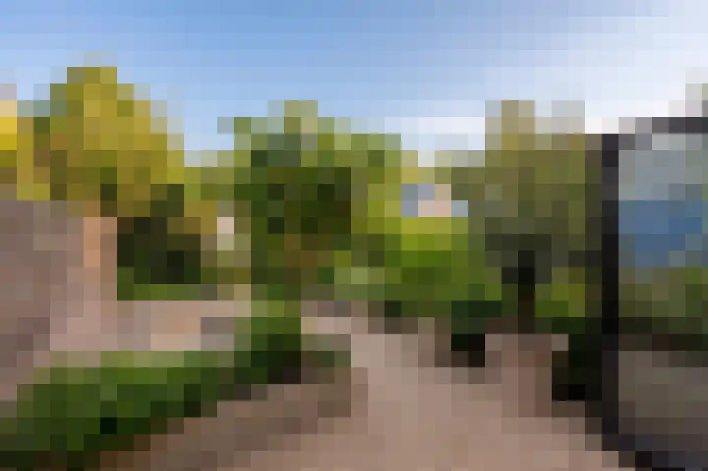 Overtoom 227 Amsterdam thumbnail 12