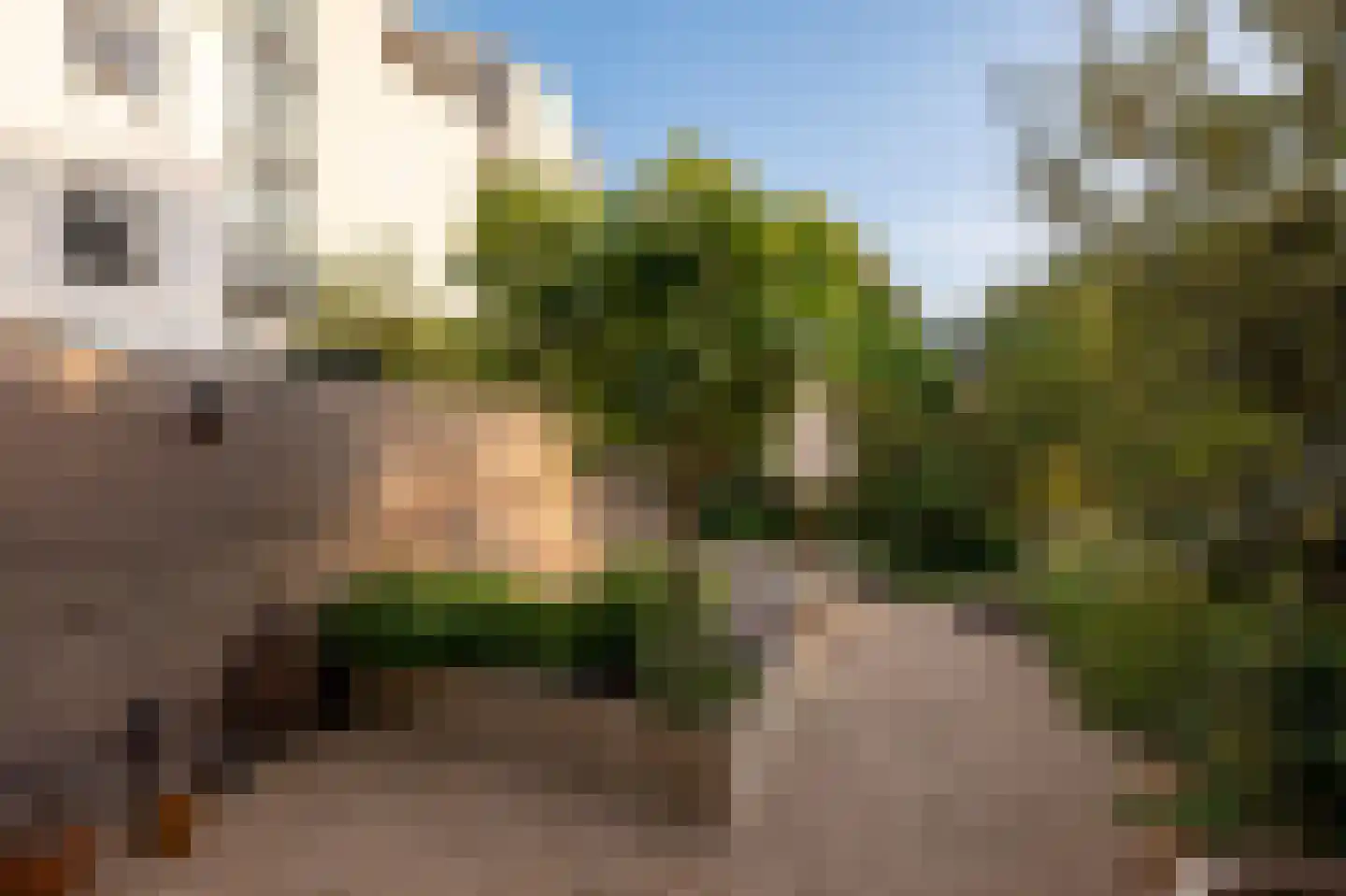 Overtoom 227 Amsterdam thumbnail 13