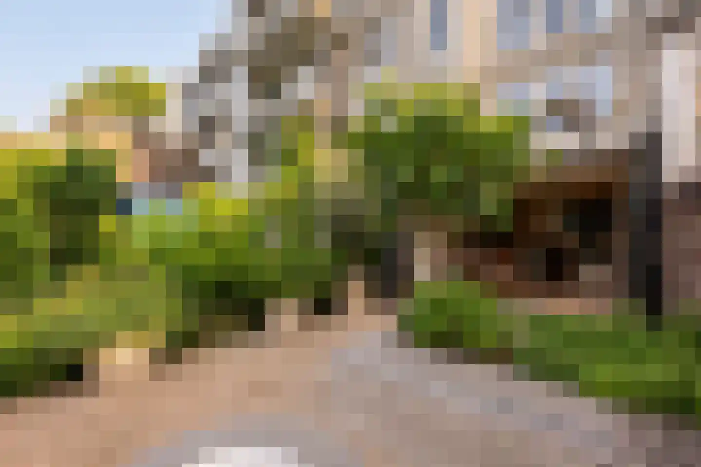 Overtoom 227 Amsterdam thumbnail 14