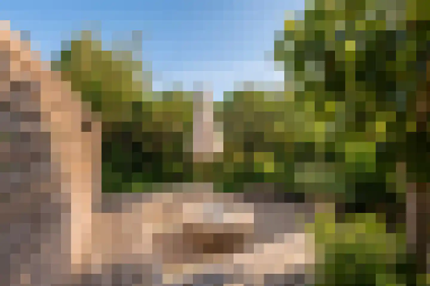 Overtoom 227 Amsterdam thumbnail 16