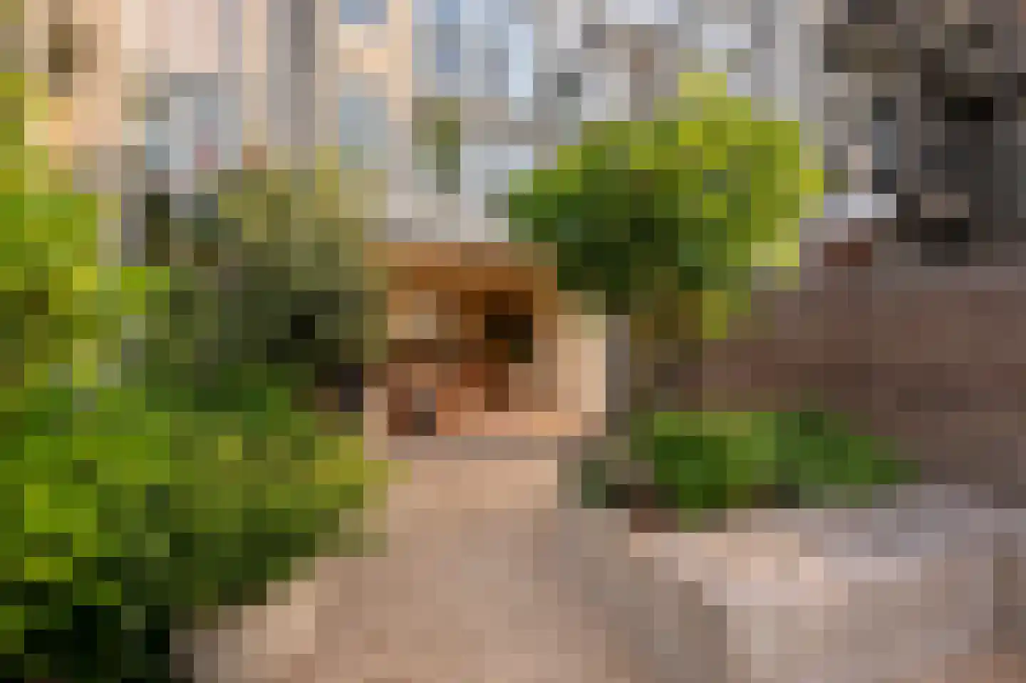 Overtoom 227 Amsterdam thumbnail 17