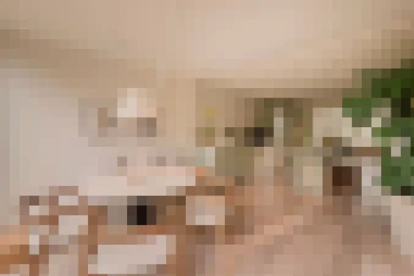 Overtoom 227 Amsterdam thumbnail 20