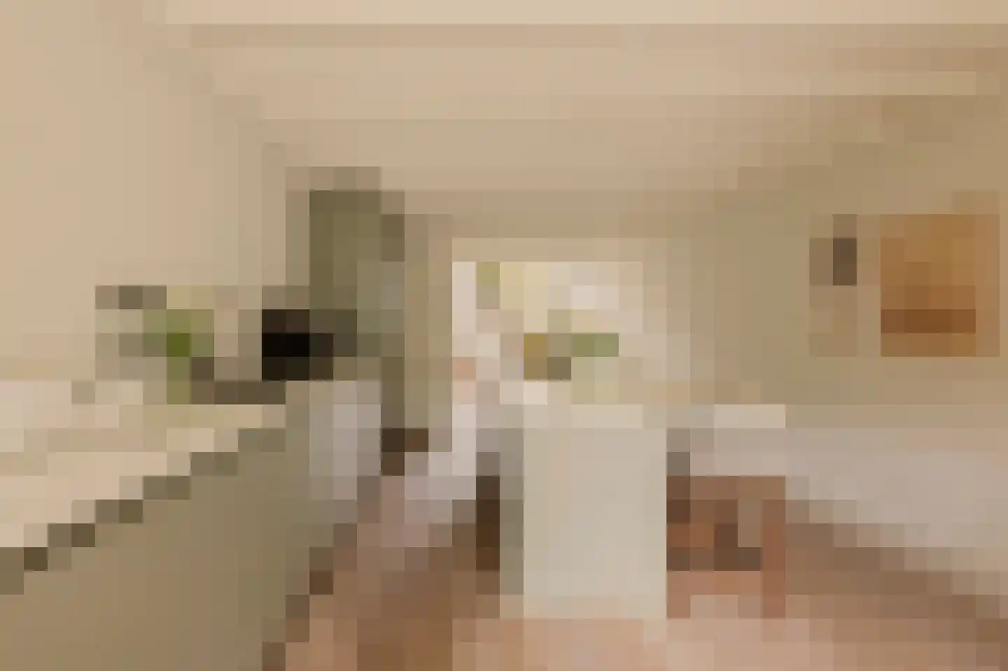 Overtoom 227 Amsterdam thumbnail 21