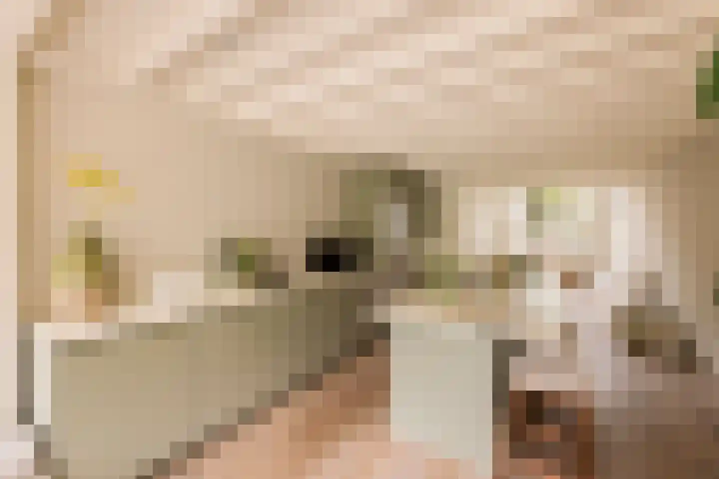 Overtoom 227 Amsterdam thumbnail 22