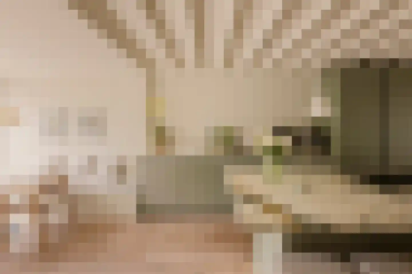 Overtoom 227 Amsterdam thumbnail 23