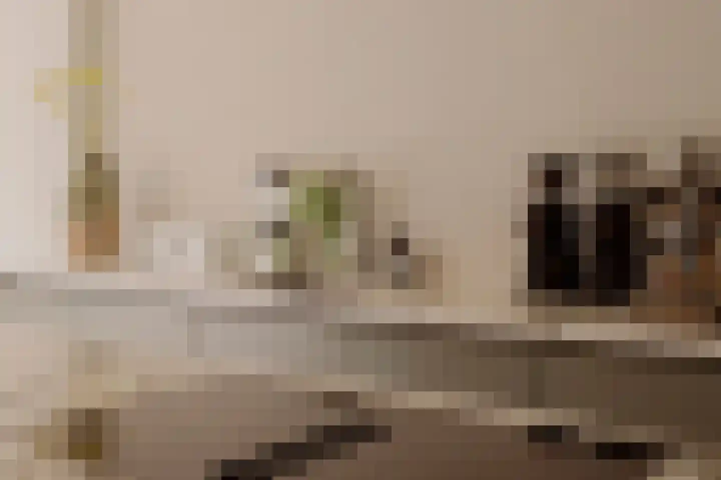 Overtoom 227 Amsterdam thumbnail 27
