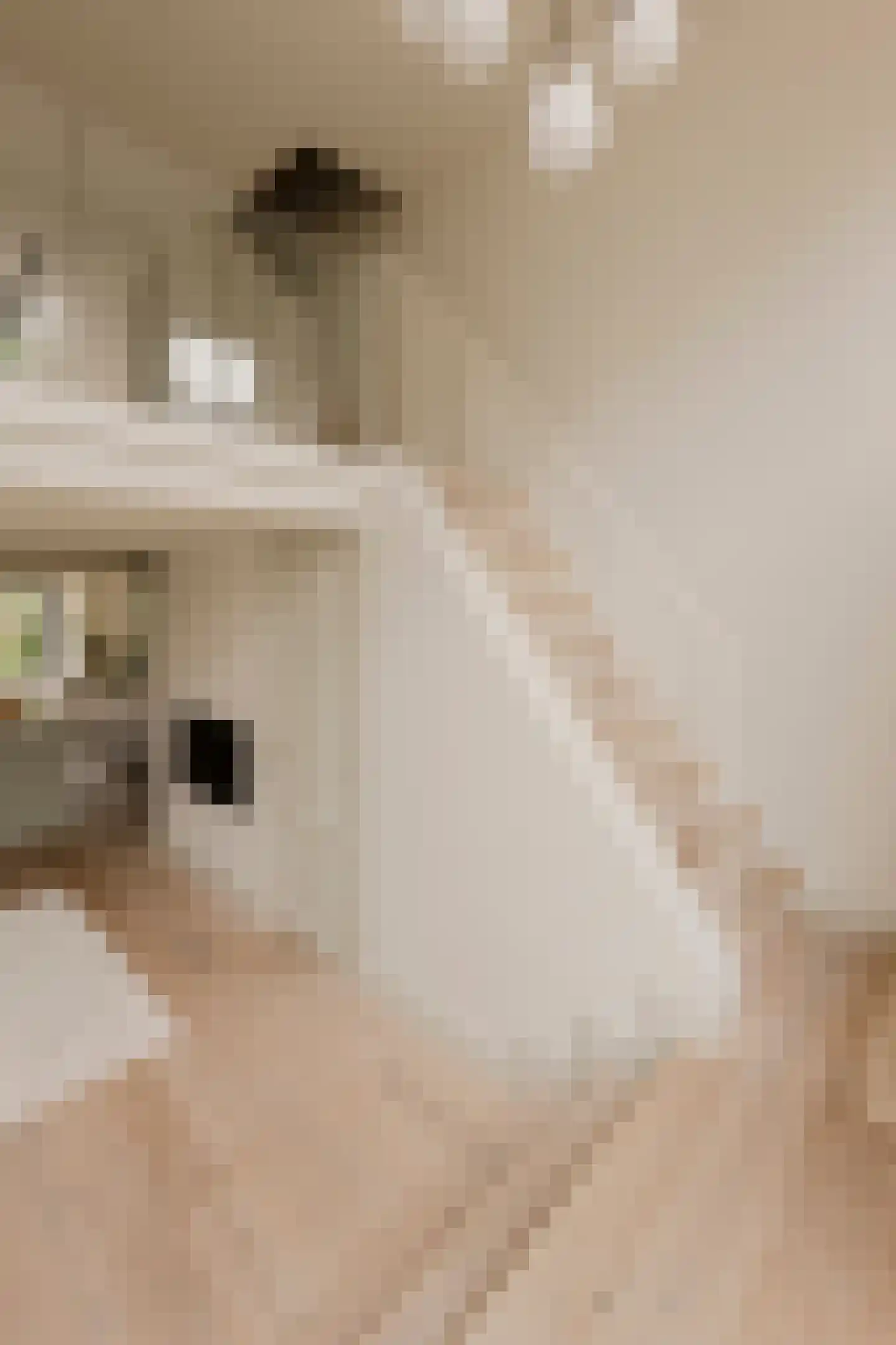 Overtoom 227 Amsterdam thumbnail 29