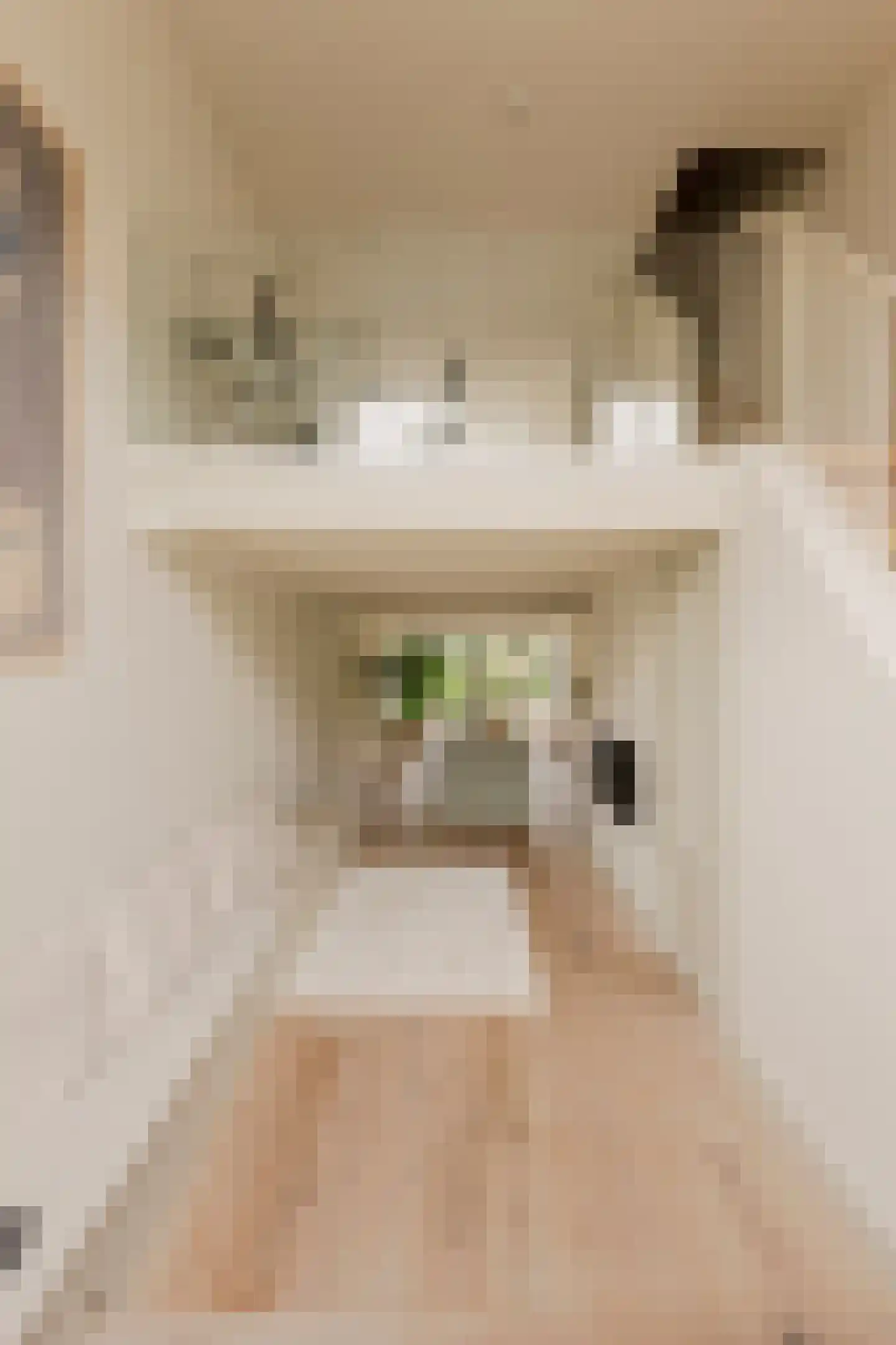 Overtoom 227 Amsterdam thumbnail 30