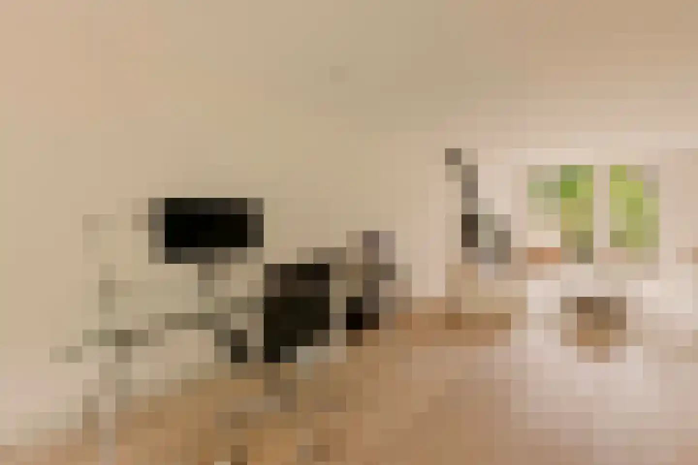 Overtoom 227 Amsterdam thumbnail 32