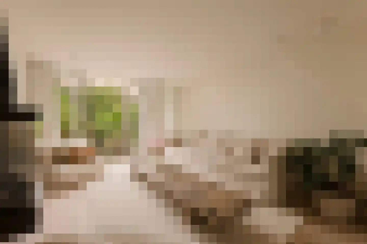 Overtoom 227 Amsterdam thumbnail 33