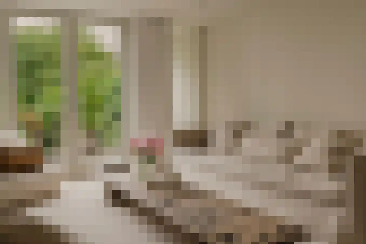 Overtoom 227 Amsterdam thumbnail 34