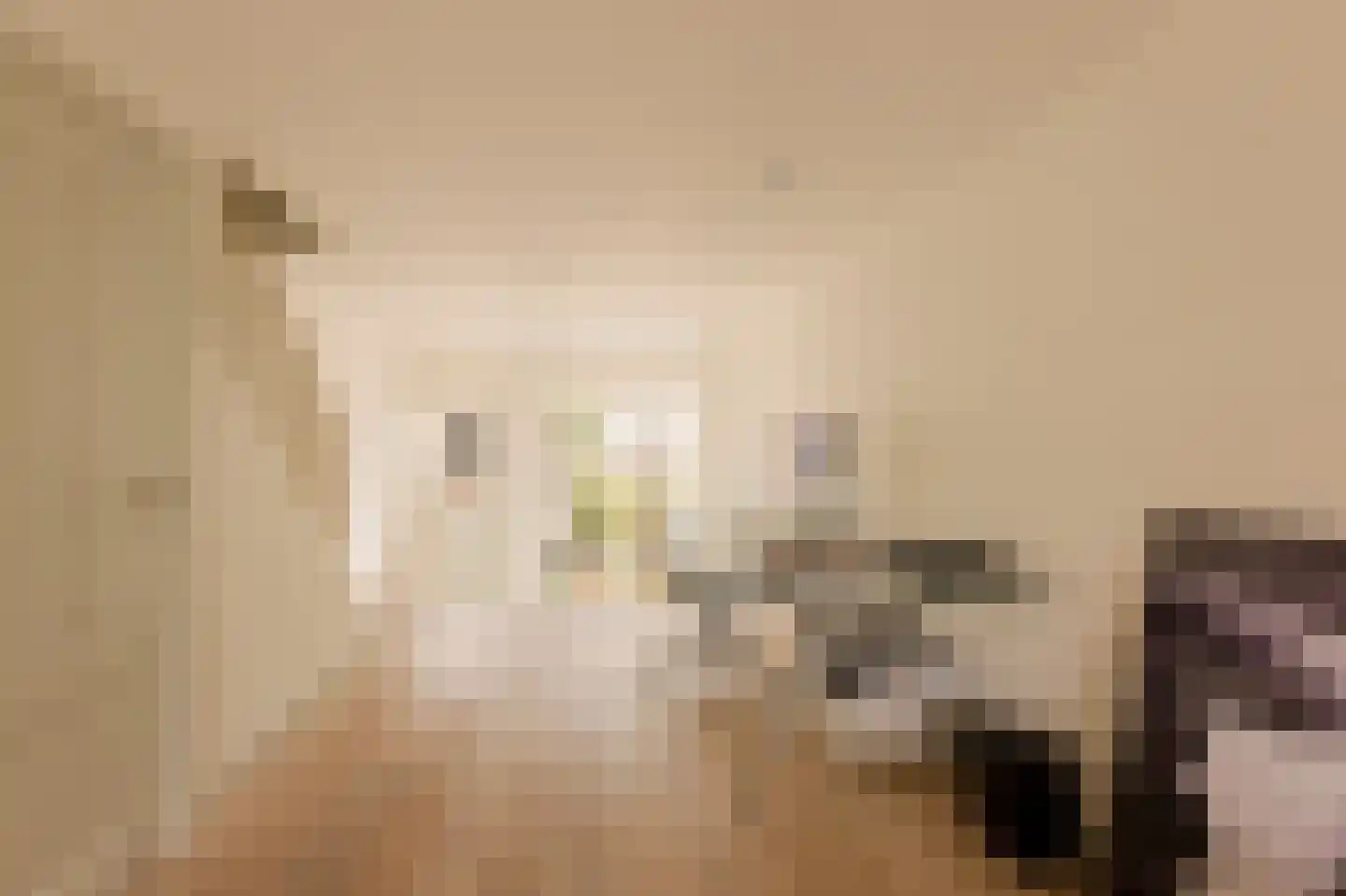 Overtoom 227 Amsterdam thumbnail 36