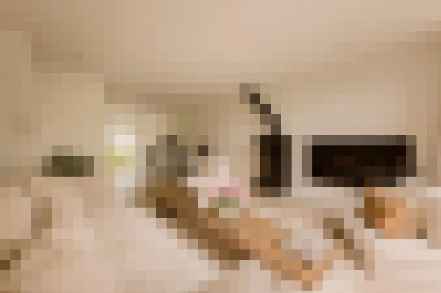 Overtoom 227 Amsterdam thumbnail 38