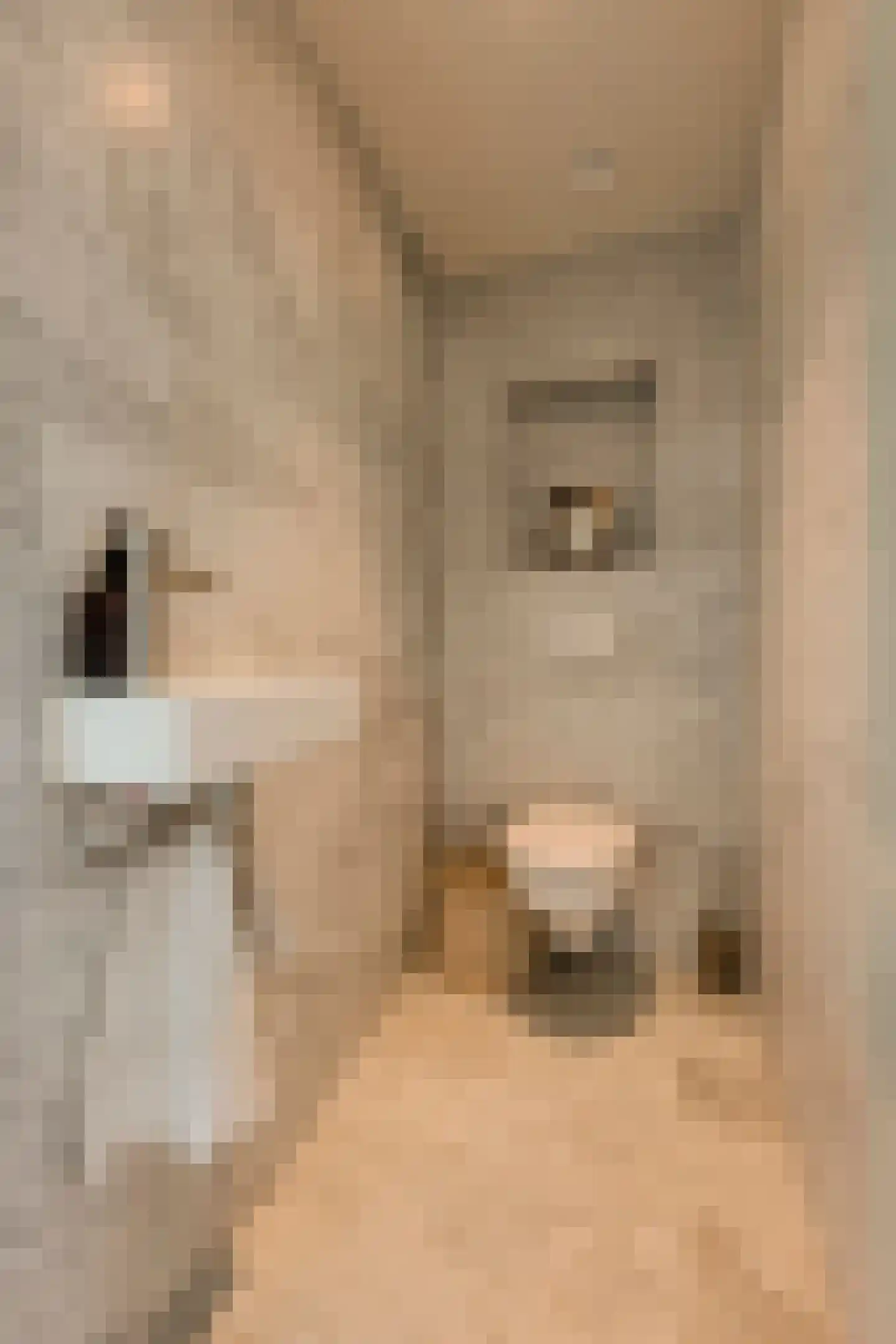 Overtoom 227 Amsterdam thumbnail 39