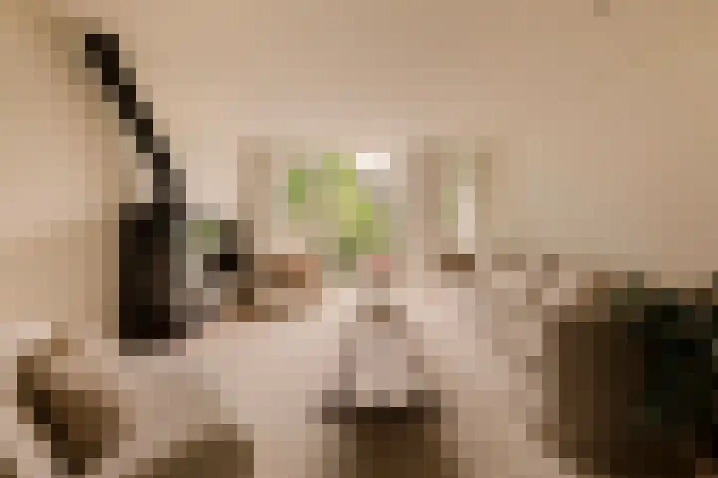 Overtoom 227 Amsterdam thumbnail 4