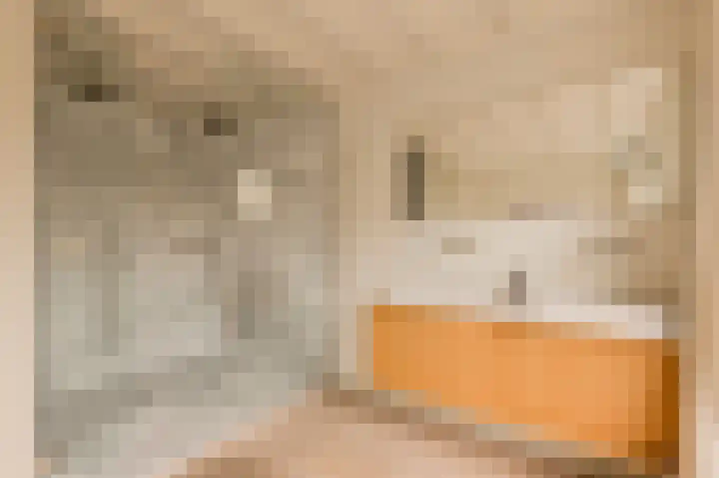 Overtoom 227 Amsterdam thumbnail 41
