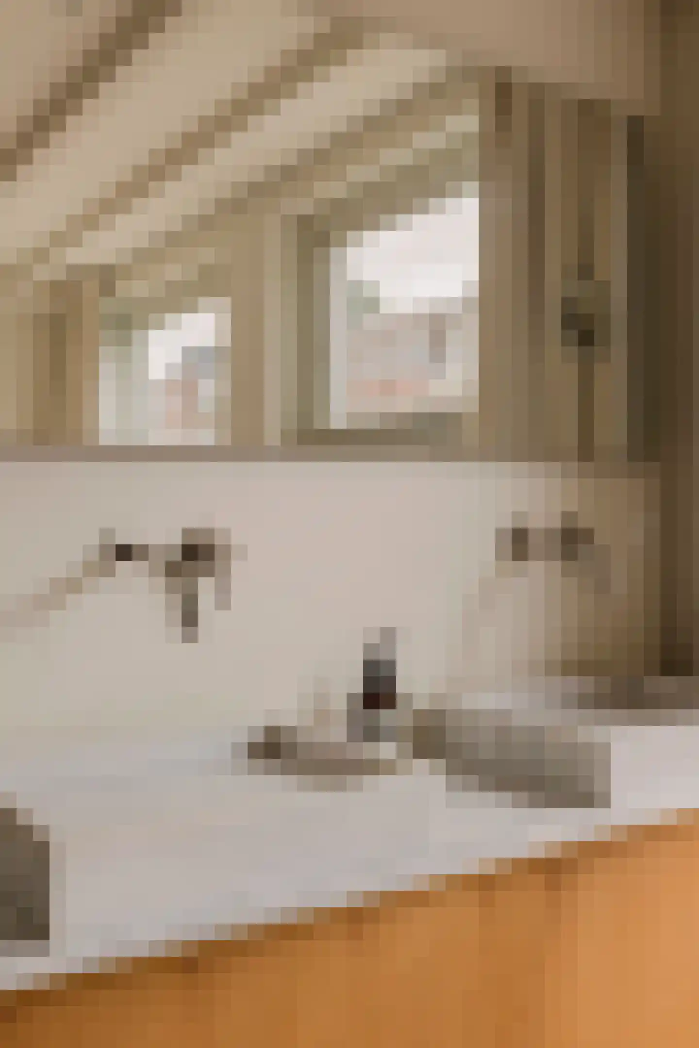 Overtoom 227 Amsterdam thumbnail 43