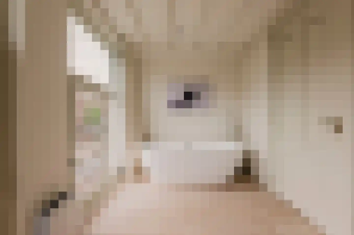 Overtoom 227 Amsterdam thumbnail 44