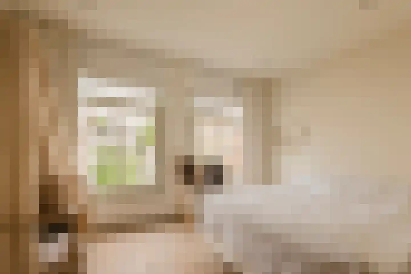 Overtoom 227 Amsterdam thumbnail 50