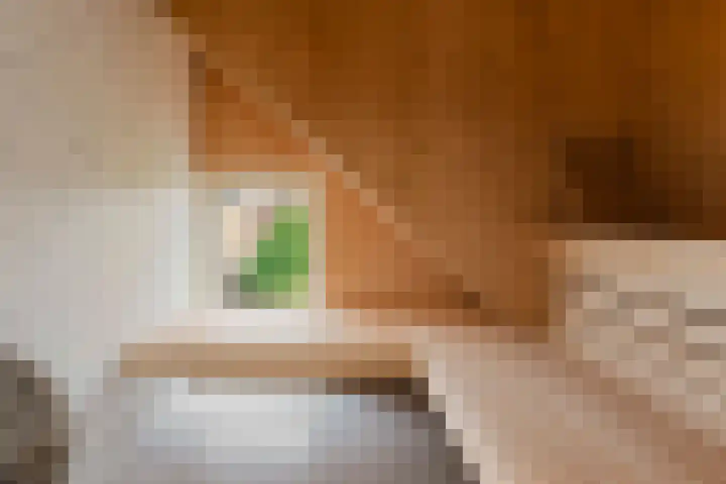 Overtoom 227 Amsterdam thumbnail 56