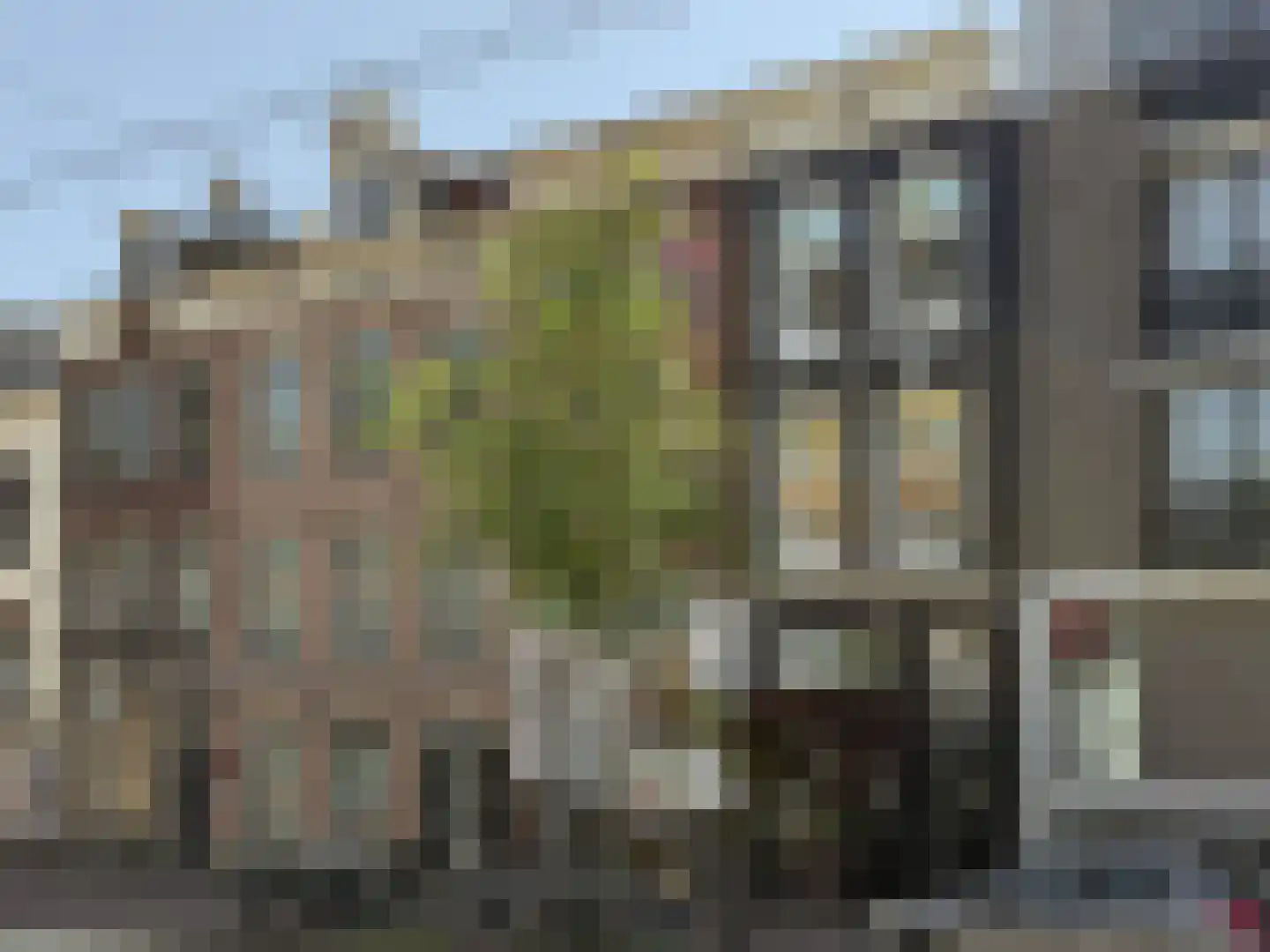 Overtoom 227 Amsterdam thumbnail 6