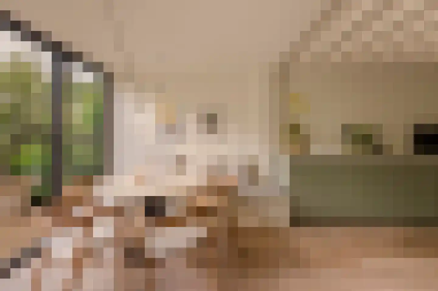 Overtoom 227 Amsterdam thumbnail 7