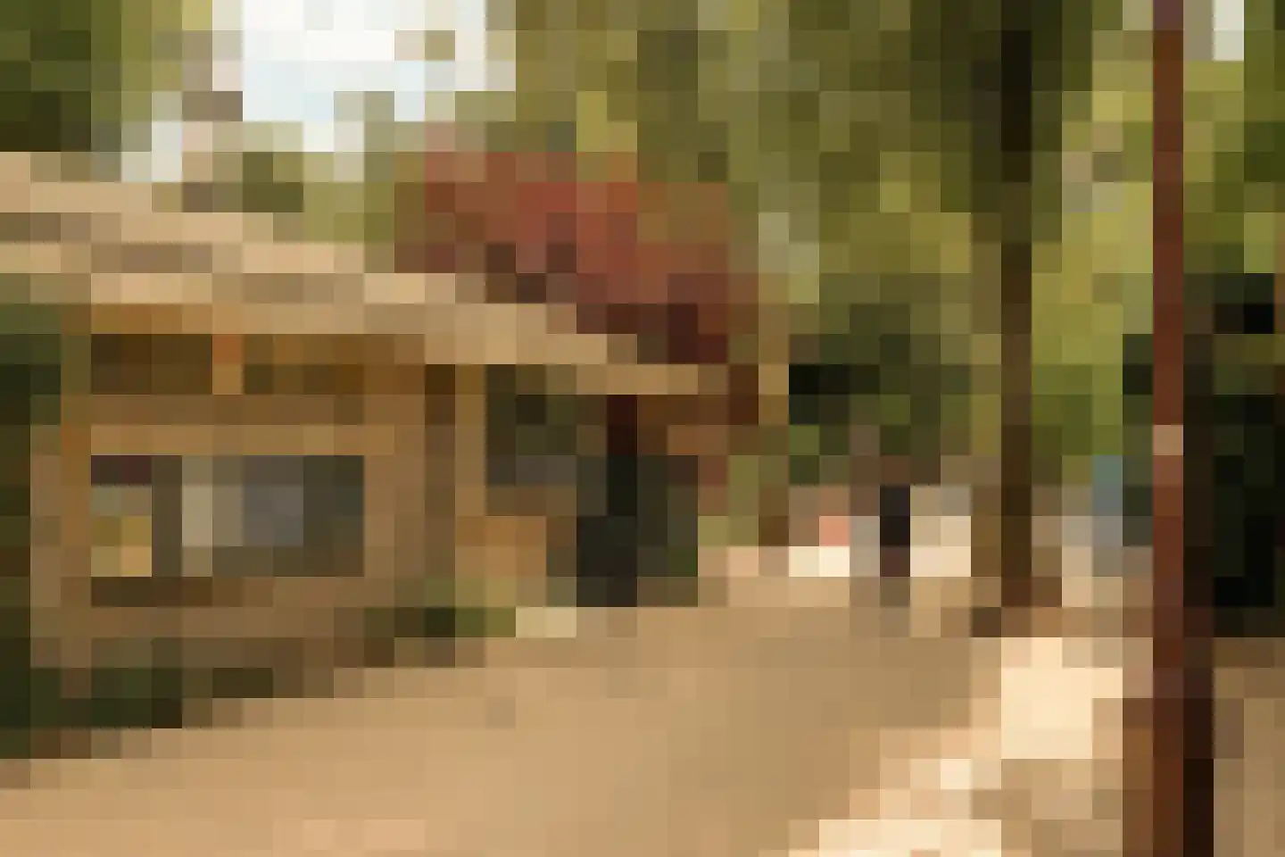 Overtoom 227 Amsterdam thumbnail 72