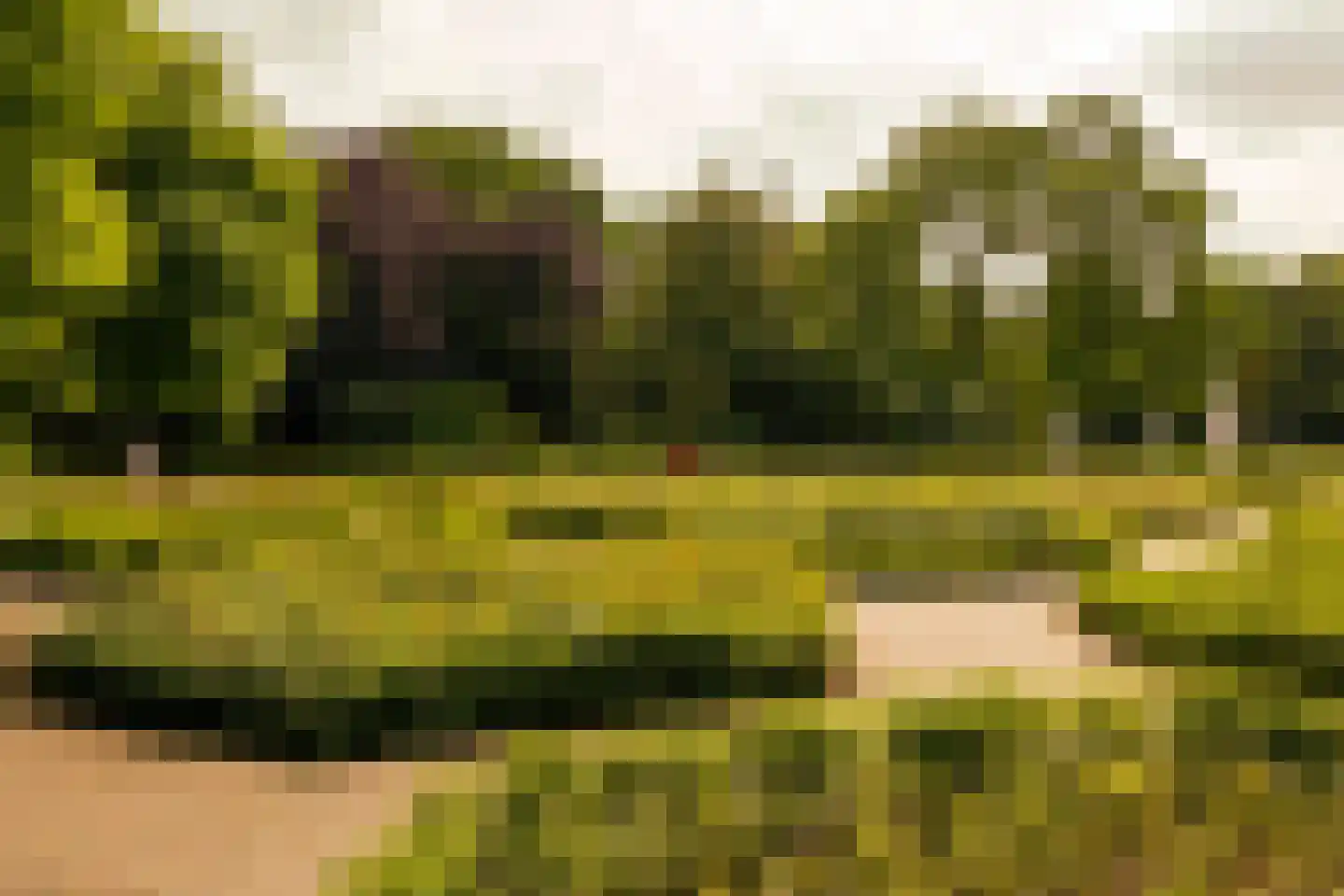 Overtoom 227 Amsterdam thumbnail 74