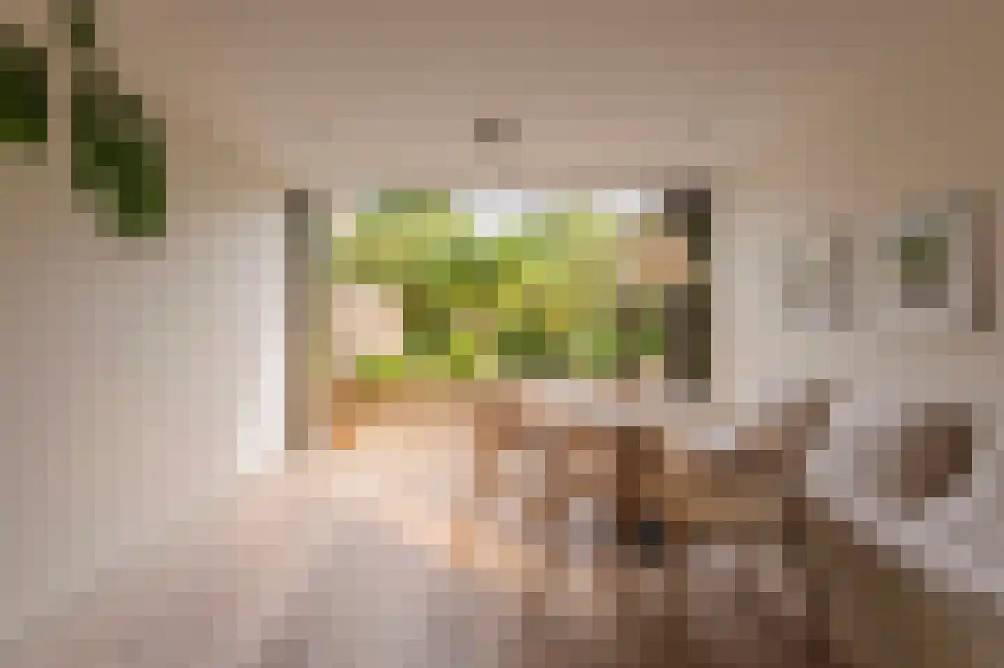Overtoom 227 Amsterdam thumbnail 8