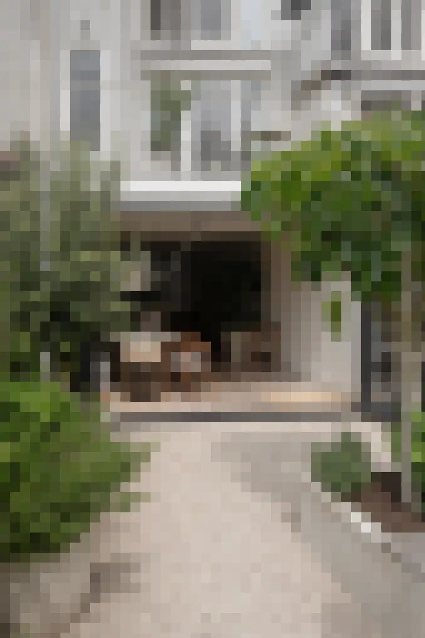 Overtoom 227 Amsterdam thumbnail 8