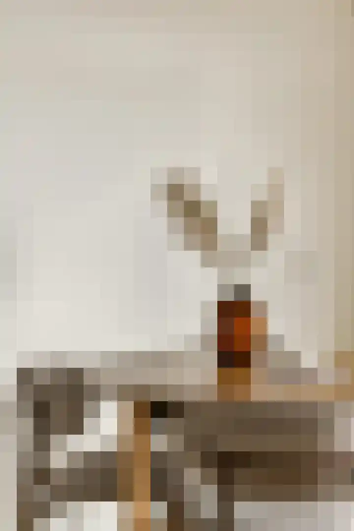 Overtoom 24 D Amsterdam thumbnail 15