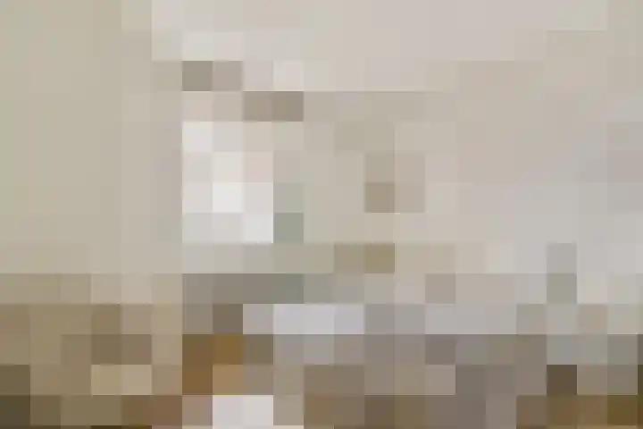 Overtoom 24 D Amsterdam thumbnail 19