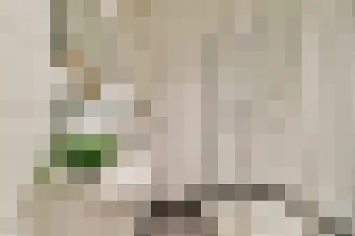 Overtoom 24 D Amsterdam thumbnail 20